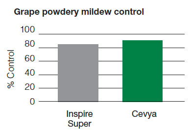 Grape Powdery Mildew Control
