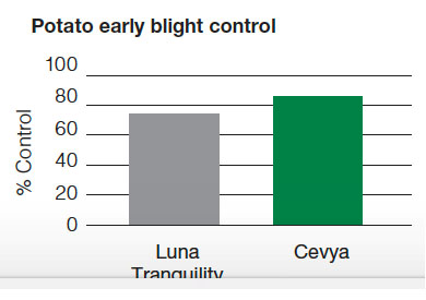 Potato Early Blight Control