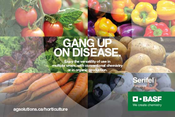 <center>GANG UP ON DISEASE.</center>
