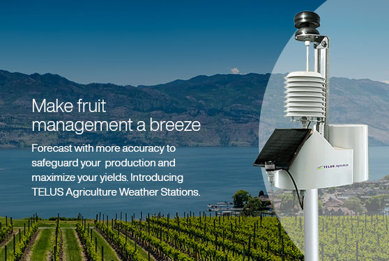 Introducing the TELUS Agriculture Weather Station