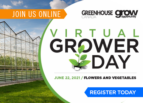 Grower Day highlights: Automation and innovation
