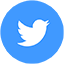 twitter icon