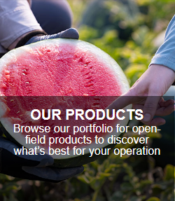 Our Products