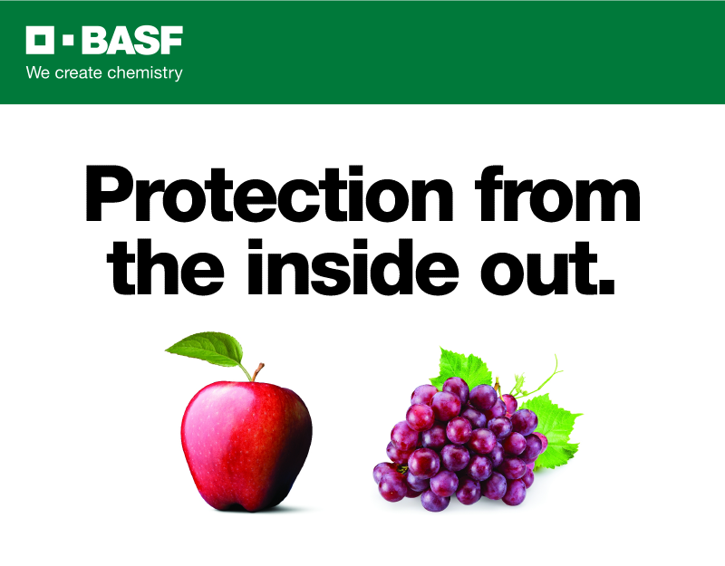 BASF: Broader protection for apples and grapes