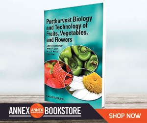 Sponsored Spotlight Ad