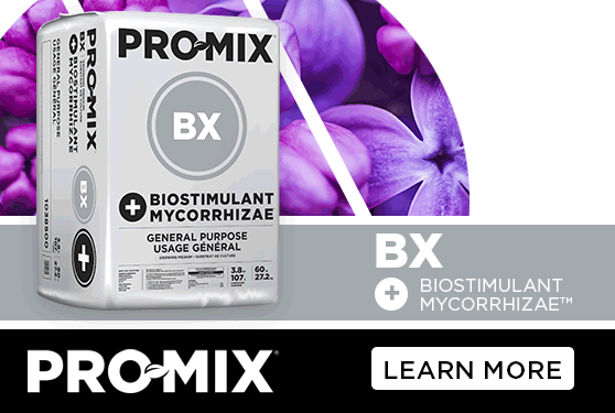 PRO-MIX® BX BIOSTIMULANT+MYCORRHIZAE