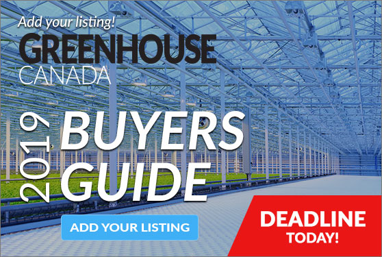 <center>SUBMIT YOUR COMPANY LISTING TODAY!</center>