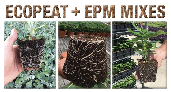 Assure successful growing with Lambert EcoPeat Mixes.