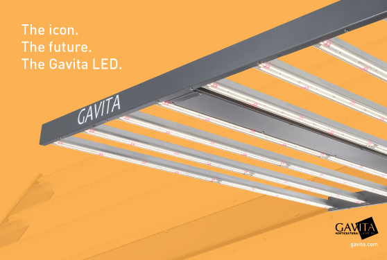 The icon. The future. The Gavita 1700e.