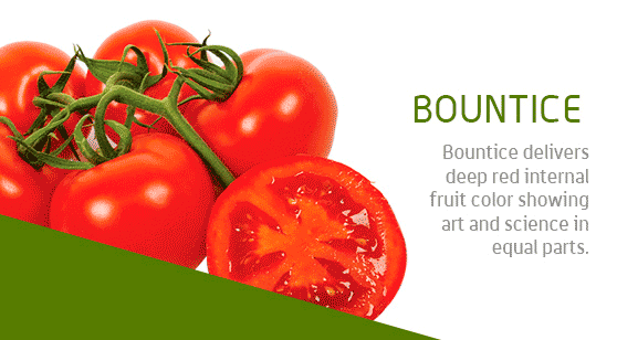 Bountice