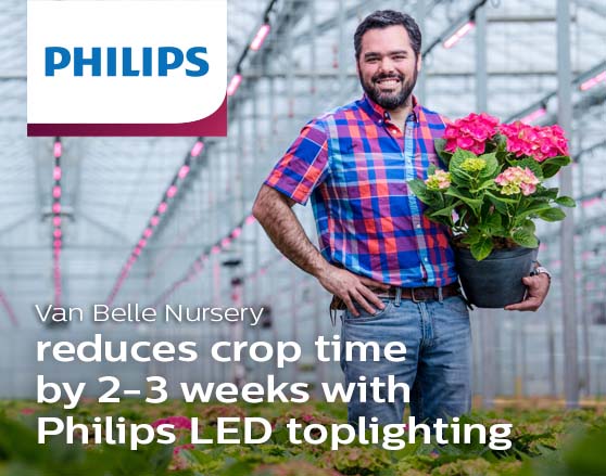Philips - Van Belle Nursery