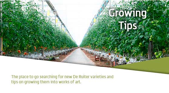 Growing Tips
