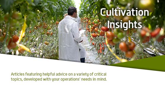 Cultivation Insights