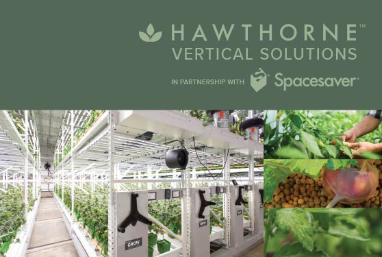 <center>INDOOR GROWING IS TAKING A NEW FORM: VERTICAL </center>