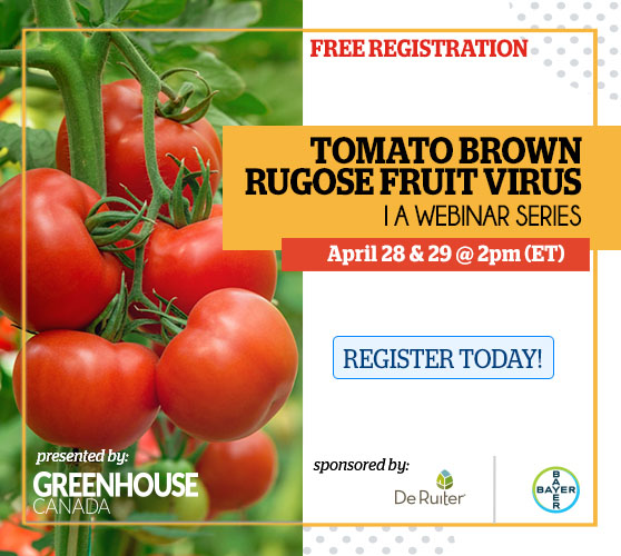 Rugos Webinar