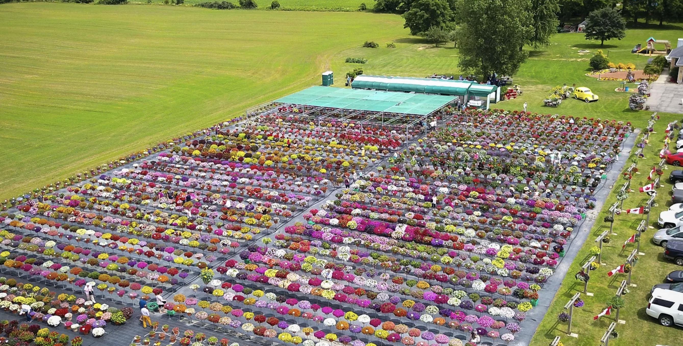 <center>2020 Sawaya Gardens Open House Week </center>