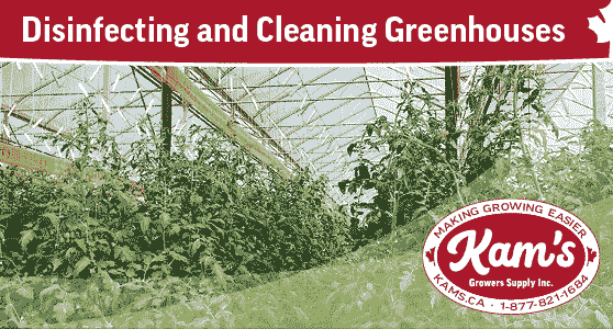 Disinfecting and Cleaning Greenhouses
