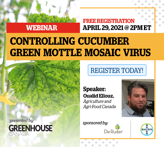 FREE Webinar - Controlling Cucumber Green Mottle Mosaic Virus - April 29th