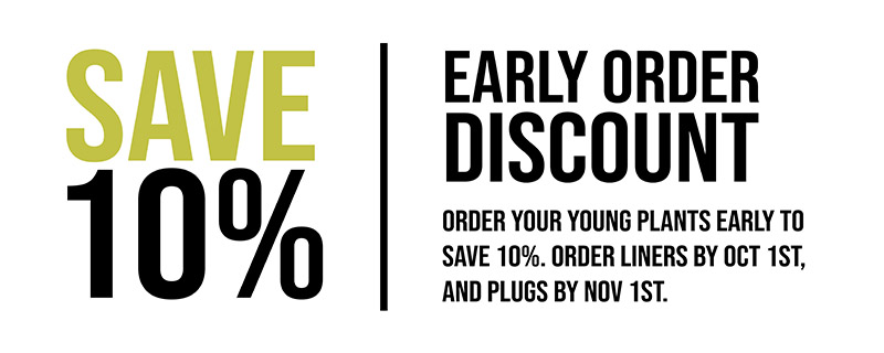 Save 10%