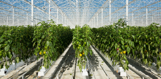 Grow your savings, grow your margins