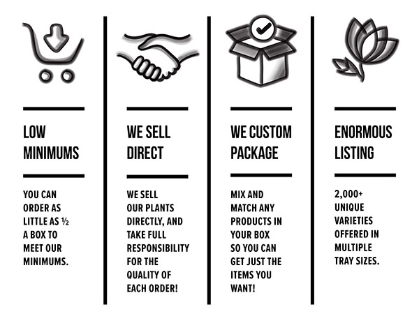 Why Choose Us