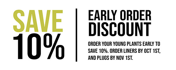 Save 10%