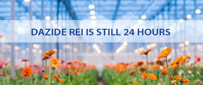 Dazide REI is still 24 hours