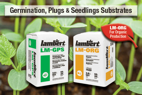 Discover successful propagation with Lambert Peat Moss substrates!