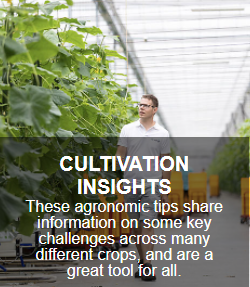 Cultivation Insights