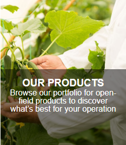 Our Products