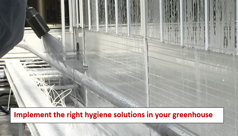 Implement the right hygiene solutions in your greenhouse