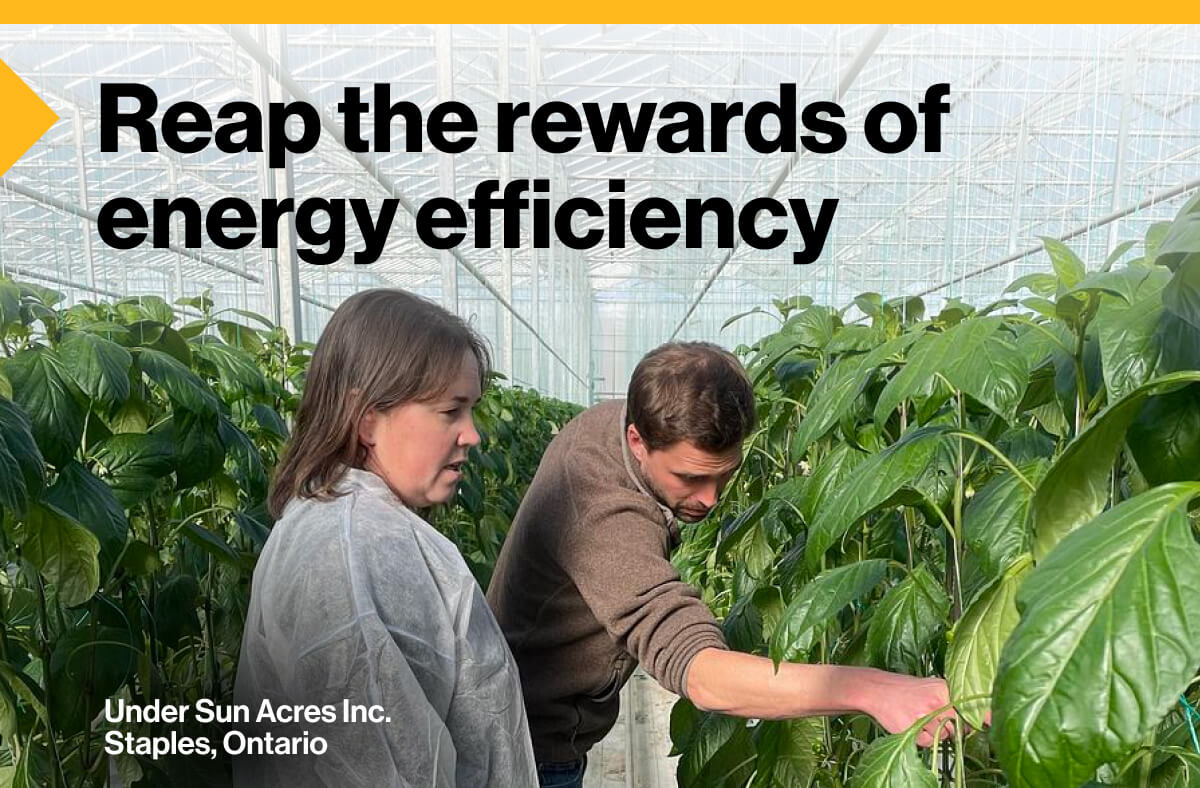 Reap the rewards of energy efficiency. Image of two people are discussing crops in Under Sun Acres Inc. greenhouse.