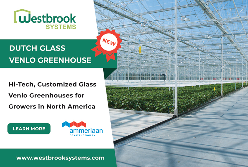 NEW Westbrook & Ammerlaan Venlo Greenhouses!