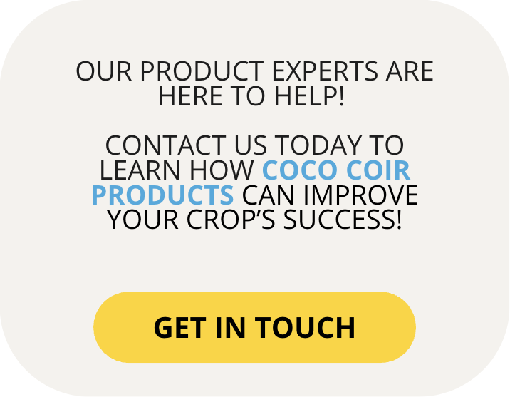 CONTACT US TODAY