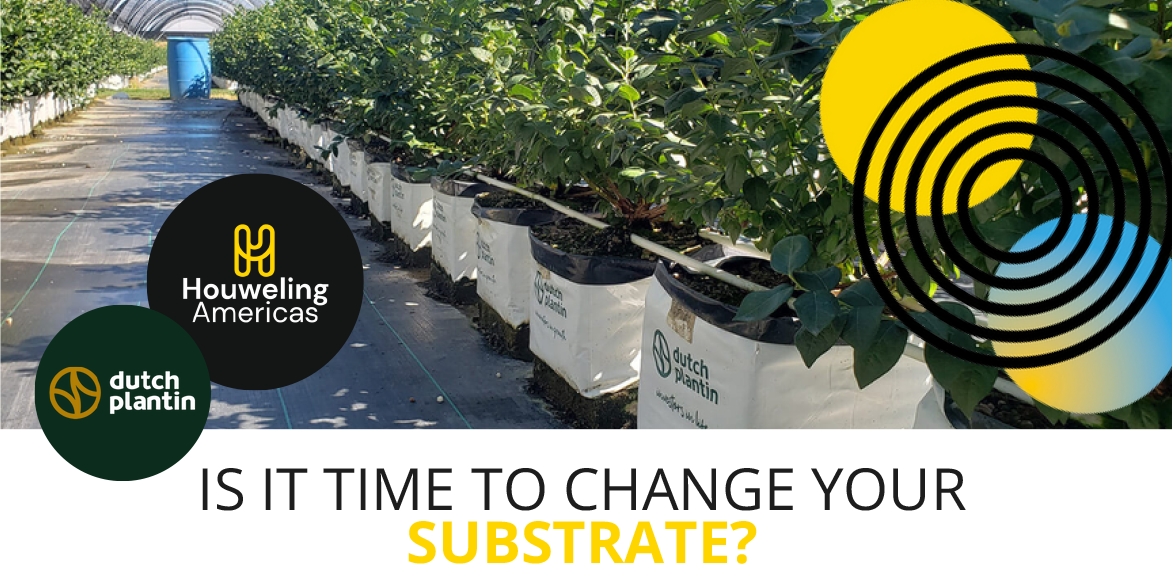 IS IT TIME TO CHANGE YOUR SUBSTRATE?