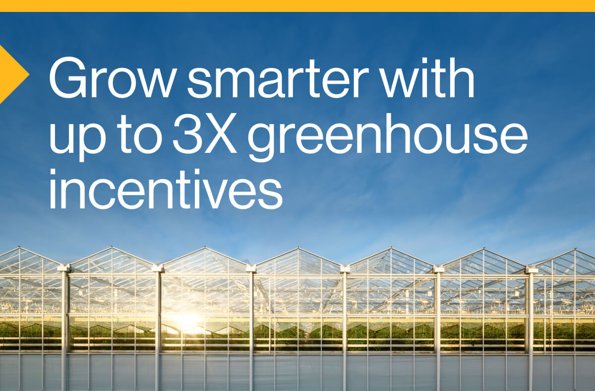 Grow smarter with up to 3X greenhouse incentives: Image of a large glass greenhouse with sunlight reflecting on its surface, set against a blue sky.