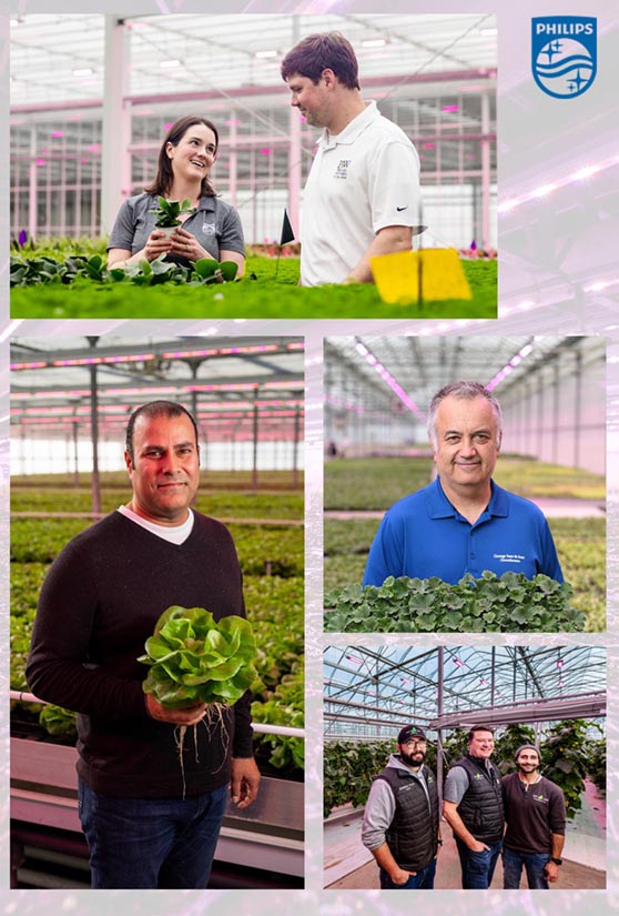 4 growers talk about their success with LEDs