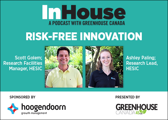 Innovation without the risk