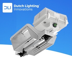 Dutch Lighting