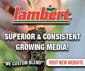 Lambert Peat Moss
