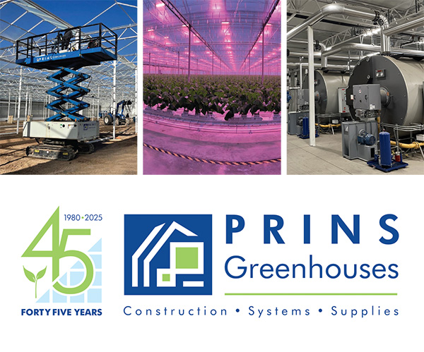 Sponsored Spotlight Ad