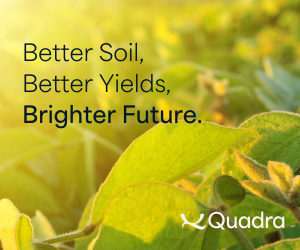 Sponsored Spotlight Ad