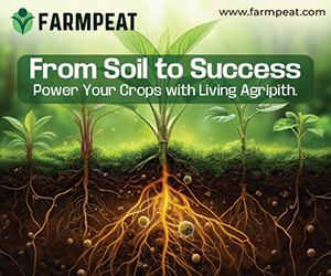 Sponsored Spotlight Ad