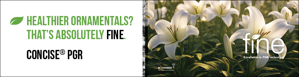 Billboard Ad