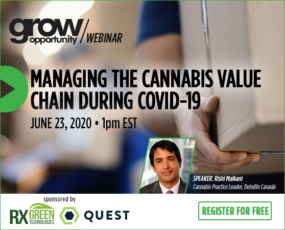 <center>Free webinar: Managing the cannabis value chain during COVID-19</center>