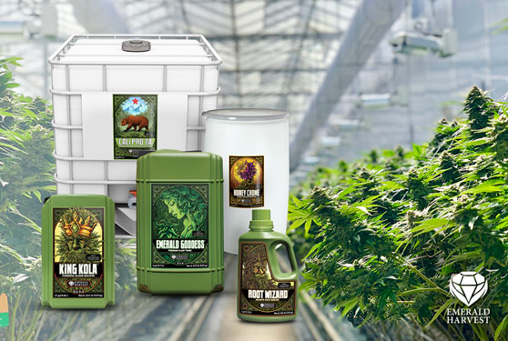 <center>Emerald Harvest nutrients are making a difference to the quality and profitability of cannabis crops.  </center>