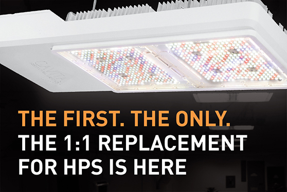 <center>The first. The only. The 1:1 replacement for HPS is here.</center>