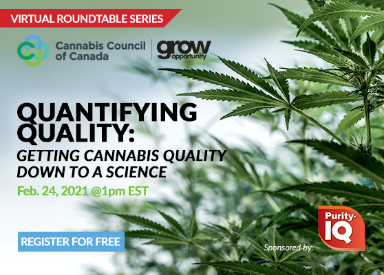 <center>Quantifying quality: Getting cannabis quality down to a science</center>