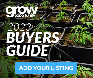 Buyers Guide 2023