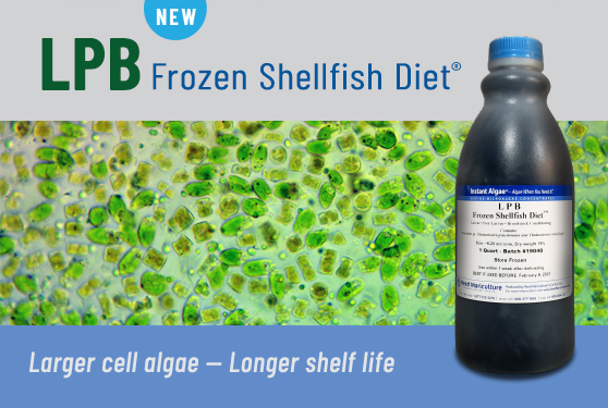 <center>LPB Frozen Shellfish Diet<sup>®</sup>:<br> Longer Shelf Life, Economical, Larger Cells </center>